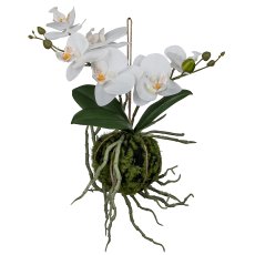 Phalaenopsis hanger in a ball, 15x12x23cm, white