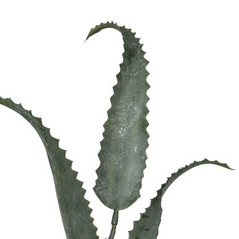 Kalanchoe branch, 82cm, grey