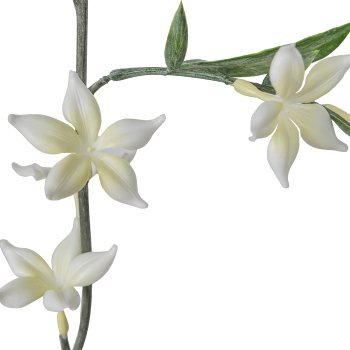 Stephanotis garland, 183cm, white