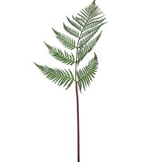 Forest fern branch, 80cm, green