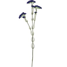 Statice, 62cm, lilac