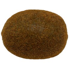 Kiwi, 5.5x4.5x6.5cm, brown
