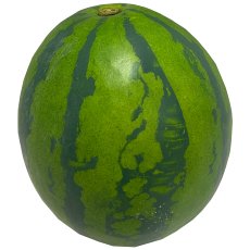 Wassermelone, Ø 15cm, grün