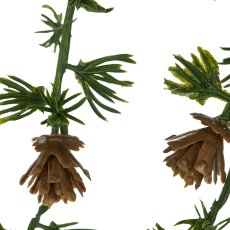 Cedar garland, 190cm, green