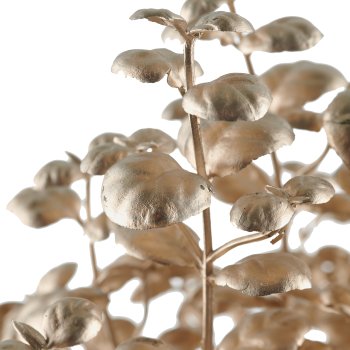 Eucalyptus bunch x3, 29cm, champagne