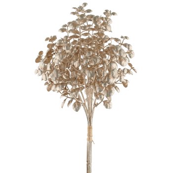 Eucalyptus bunch x3, 29cm, champagne