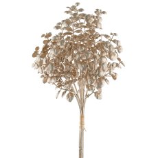 Eucalyptus bunch x3, 29cm, champagne