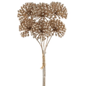 Alliumbund x3, 25cm, champagner