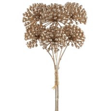 Allium bunch x3, 25cm, champagne