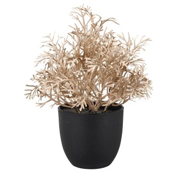Myrthen-/Korallen-/Eukalyptus Töpfchen, 3fa.so., 17cm, champagner