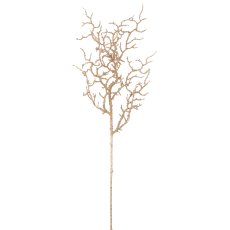 Korallenzweig, 78cm, champagner