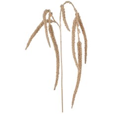 Amarathuszweig, 96cm, champagner