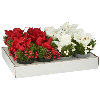 Amaryllisgesteck, 20cm, sort. 6x rot + 6x weiß, in weißem Display-Karton 49x37x22cm