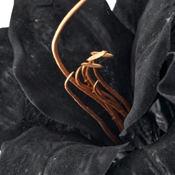 Amaryllis, 50cm, schwarz