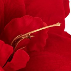 Amaryllis, 64cm, red