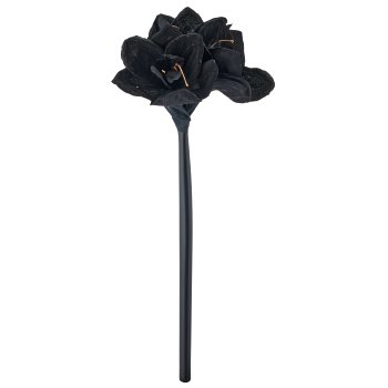Amaryllis, 64cm, black