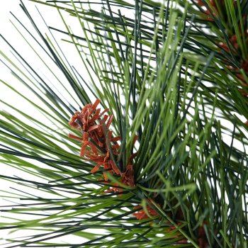 Pine bush, 32cm, green