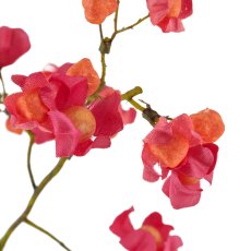Euonymus branch, 94cm, pink