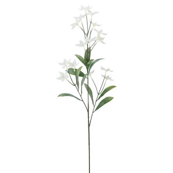 Stephanotiszweig x3, 63cm, weiß