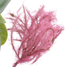 Cotinuszweig, 76cm, rosa
