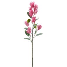 Cotinuszweig, 76cm, rosa