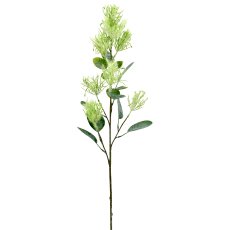 Cotinuszweig, 76cm, grün