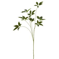 Schefferazweig, 83cm, grün