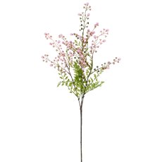 Sumpfmyrthenzweig, 74cm, rosa