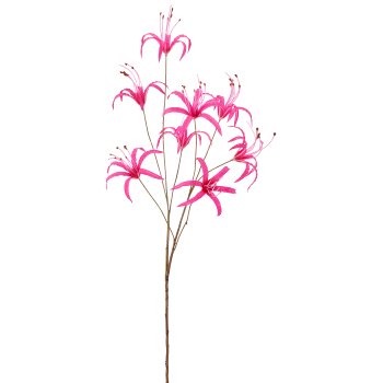 Nerine, 83cm, pink