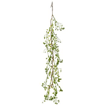 Euphorbia clip, 60cm, green