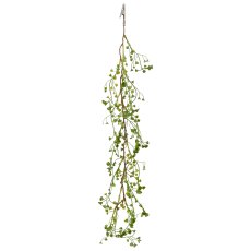 Euphorbia clip, 60cm, green