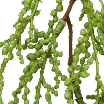 Sukkulentenclip, 63cm, grün