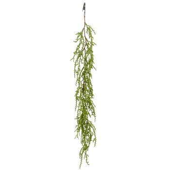 Sukkulentenclip, 63cm, grün