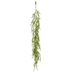 Sukkulentenclip, 63cm, grün