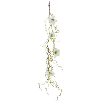 Petunienclip, 60cm, weiß