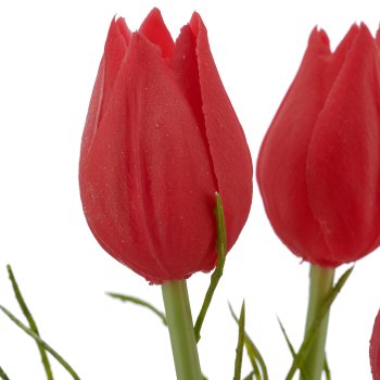 Tulpenbund x3 mit Zweigen, 25cm, pink