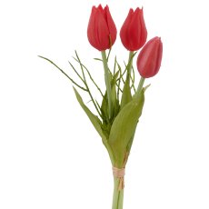 Tulpenbund x3 mit Zweigen, 25cm, pink