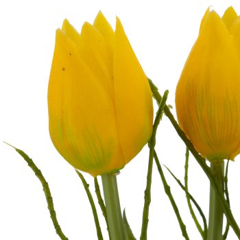 Tulip bunch x3 with branch, 25cm, yellow
