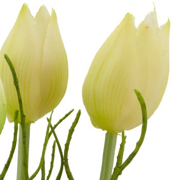 Tulpenbund x3 mit Zweigen, 25cm, weiß