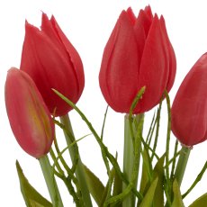 Tulip bunch x5 with branch, 25cm, pink
