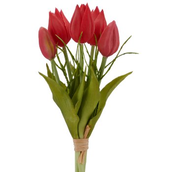 Tulip bunch x5 with branch, 25cm, pink