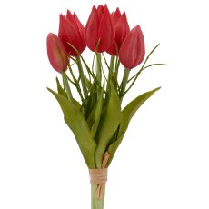 Tulpenbund x5 mit Zweigen, 25cm, pink