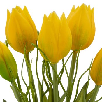 Tulpenbund x5 mit Zweigen, 25cm, gelb