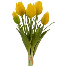 Tulpenbund x5 mit Zweigen, 25cm, gelb