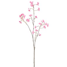 Pfaffenhütchen, 93cm, rosa