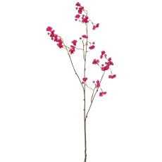 Pfaffenhütchen, 93cm, pink
