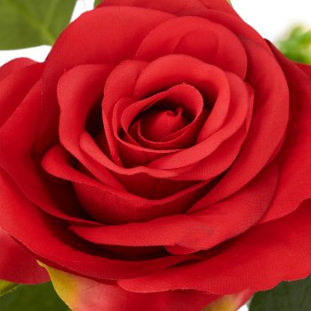 Rosen-Mix-Bund x3, 45cm, rot