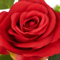 Rosen-Mix-Bund x3, 45cm, rot