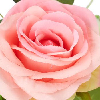 Rosen-Mix-Bund x3, 45cm, rosa