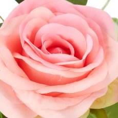 Rosen-Mix-Bund x3, 45cm, rosa